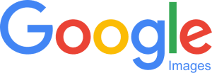Google image logo 1 300x103 make your sales & leads sky rocket with our alt text & title text tips