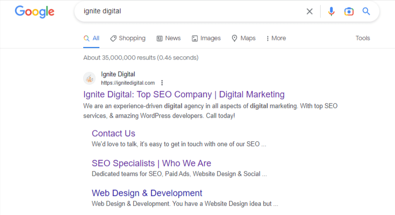 ignite digital Google Search 1