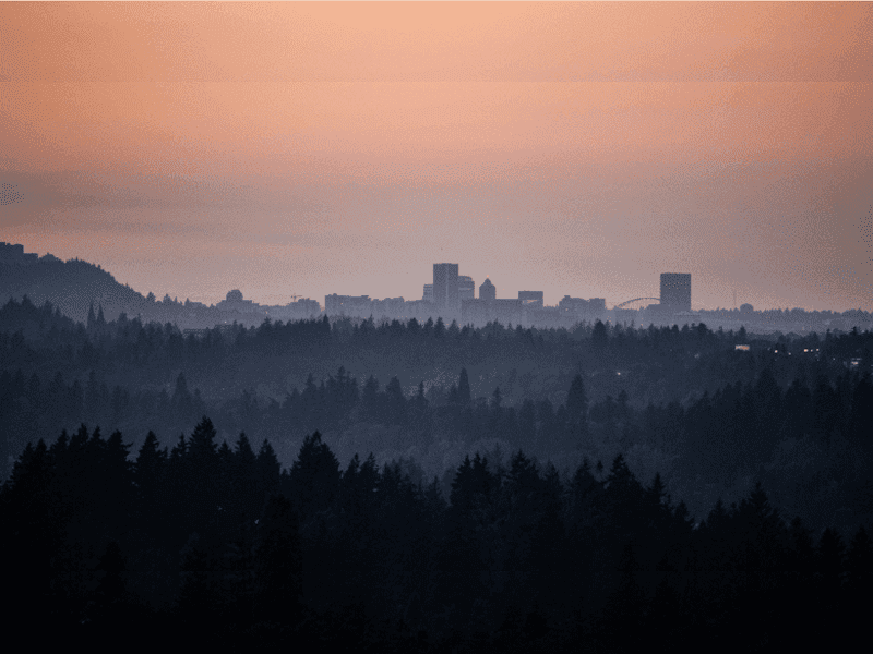 A city skyline is seen in the distance at sunset, with a pink-orange sky above. Layers of dark, tree-covered hills fill the foreground, creating a sense of depth and calm.