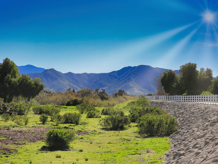A sunny landscape with green grass, scattered bushes, trees, a white fence, and mountains in the background under a bright blue sky with sun rays.
