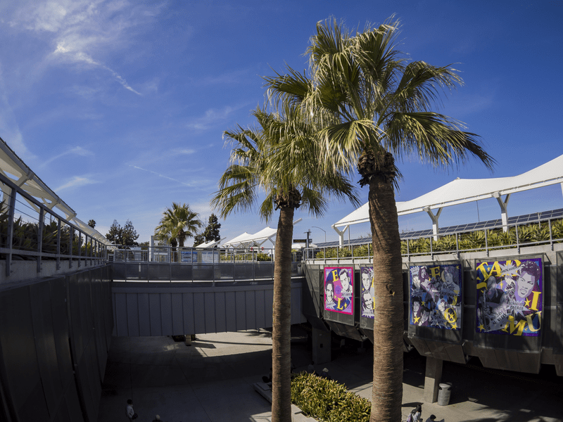 Tall palm trees stand in a sunny outdoor plaza with colorful posters on a concrete wall, white canopies above, and a clear blue sky overhead.