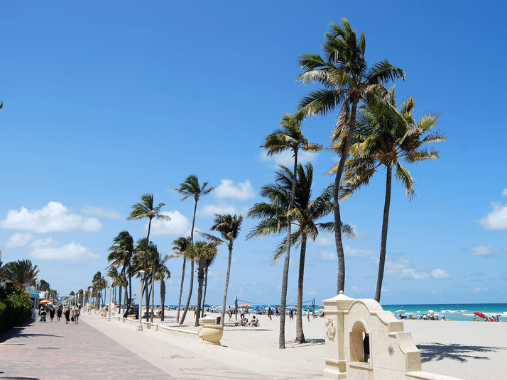 A sunny beach scene with tall palm trees lining a sidewalk, people walking along the path, and beachgoers relaxing under umbrellas near the blue ocean under a clear sky.
