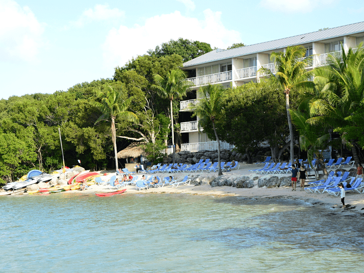 A beachfront resort with blue lounge chairs lined up on the sandy shore, palm trees, kayaks near the water, and a white multi-story building surrounded by greenery.