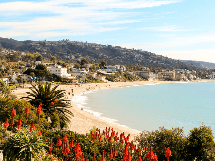 A sunny beach scene with red aloe flowers in the foreground, palm trees, people walking on the sandy shore, and houses and hills in the background under a blue sky.