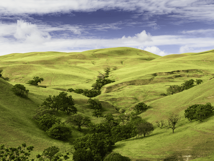 Rolling green hills dotted with scattered trees under a partly cloudy blue sky, creating a serene and open landscape.