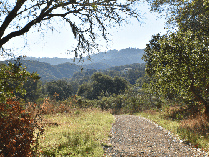 A gravel path winds through a sunlit, grassy clearing surrounded by trees, with hills and mountains in the background under a clear blue sky.