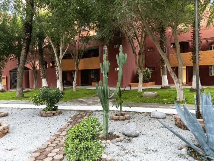 A landscaped garden with cacti, shrubs, and gravel paths sits in front of a two-story red and orange building surrounded by trees with painted white trunks.