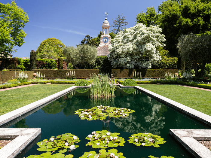 A formal garden with a rectangular pond filled with water lilies, surrounded by neatly trimmed grass and blooming trees, with a building featuring a clock tower in the background under a clear blue sky.
