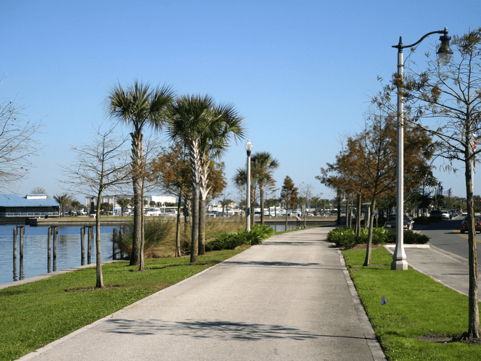 A paved walkway lined with palm trees runs alongside a waterfront on a sunny day, with clear blue skies and calm water. Some leafless trees and grassy areas are also visible.