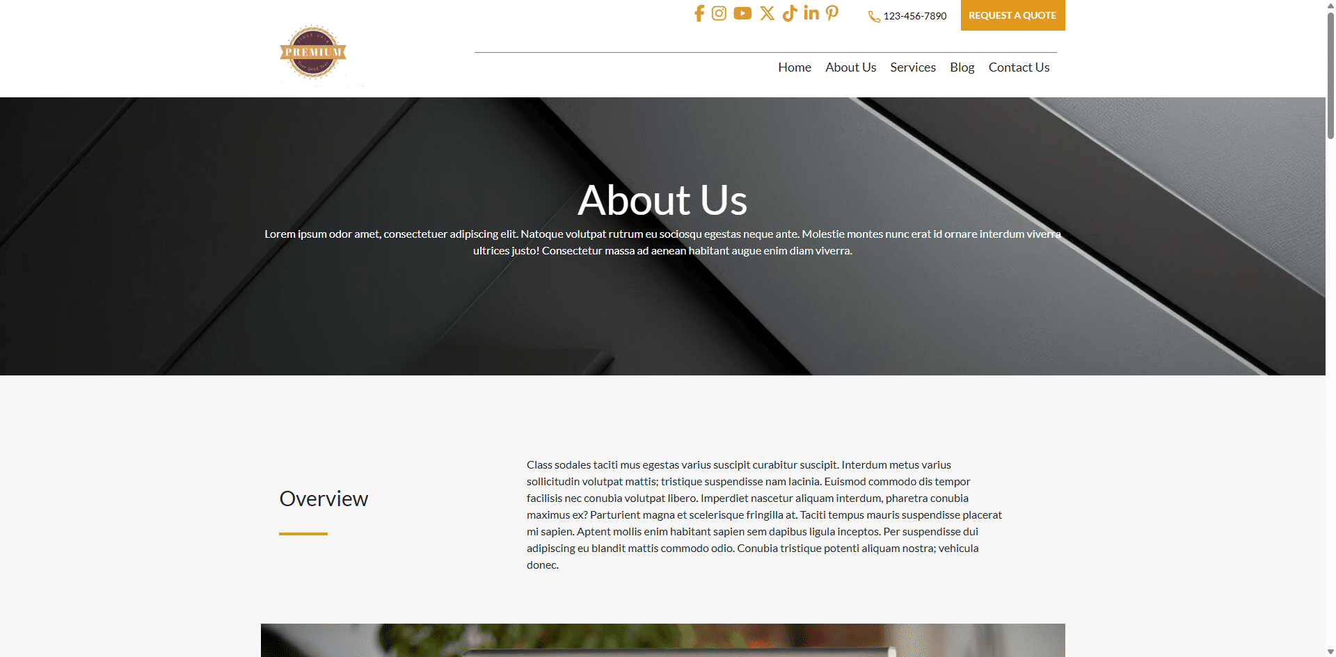 Nexus About Us