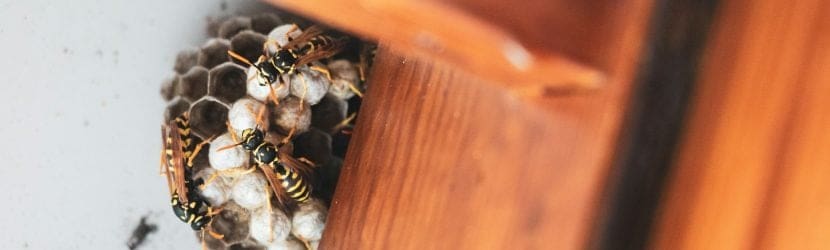 Dominating the Generative Search Era: The Ultimate Guide for Exterminators