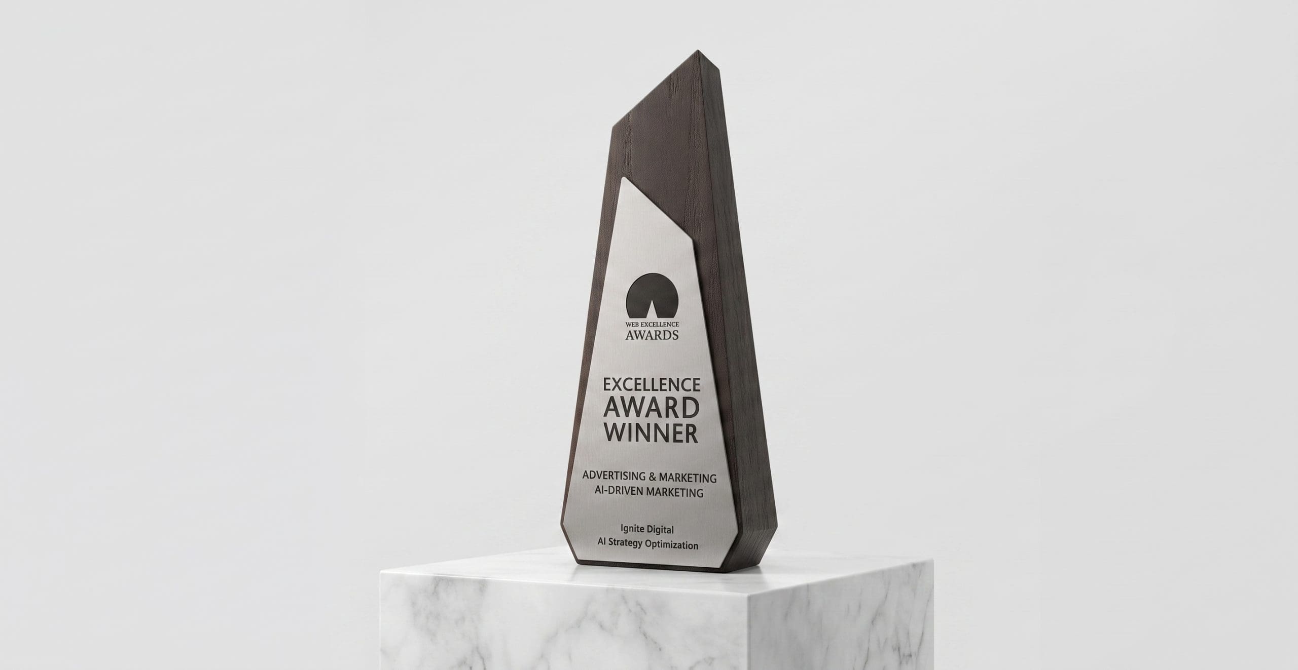 Web Excellence Award (2)